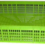 Cajas para pescado ranuradas