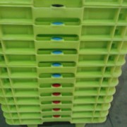 Cajas para pescado